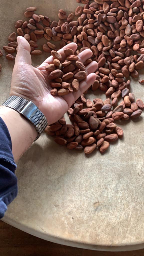 Cacao Lavado de Calidad - 1kg
