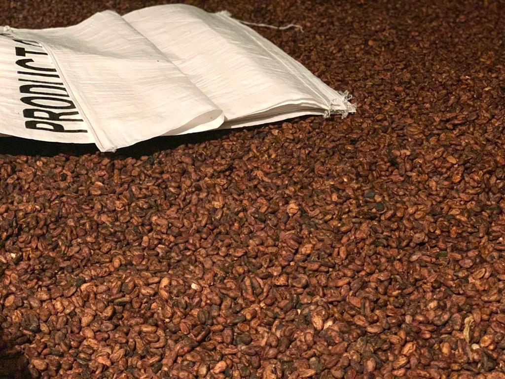 Cacao Lavado de Calidad - 1kg