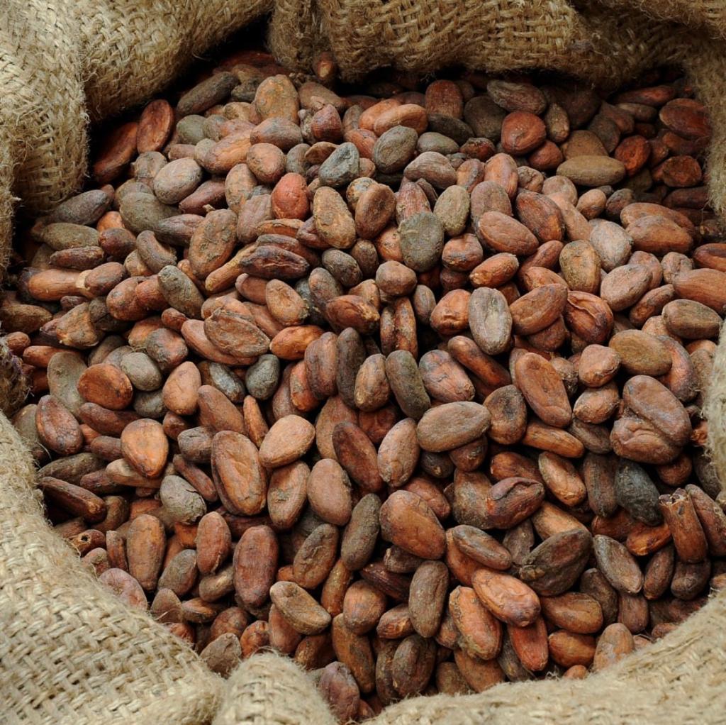 Cacao Fermentado de Calidad - 1kg