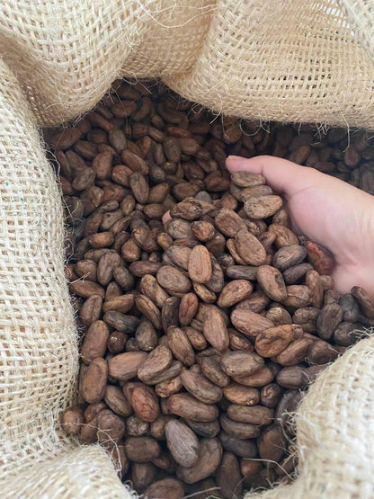 Cacao Fermentado de Calidad - 1kg